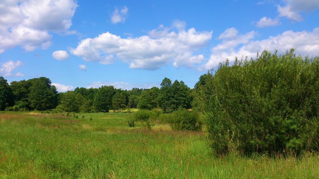 Dworek Swidwie, Gorny Apartament & Harcowka Tanowo Luaran gambar