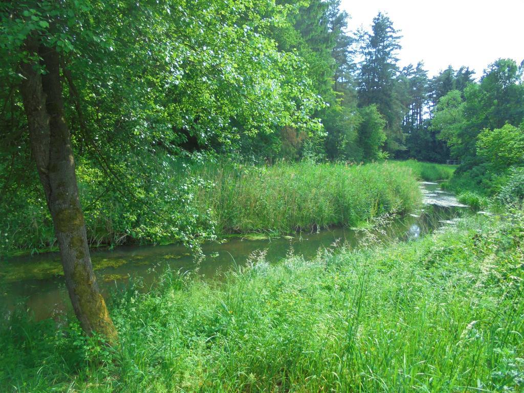 Dworek Swidwie, Gorny Apartament & Harcowka Tanowo Luaran gambar